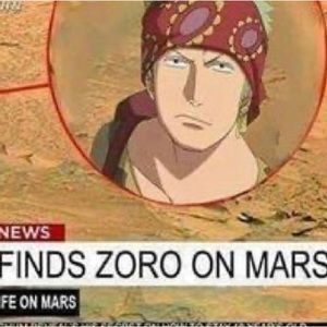 Meet your Posher, Maggie